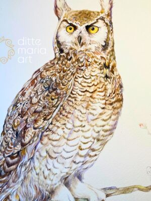 Queen of the Night, Original